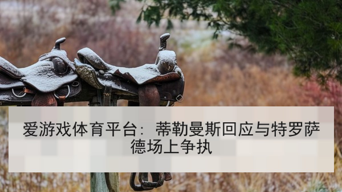 爱游戏体育平台: 蒂勒曼斯回应与特罗萨德场上争执