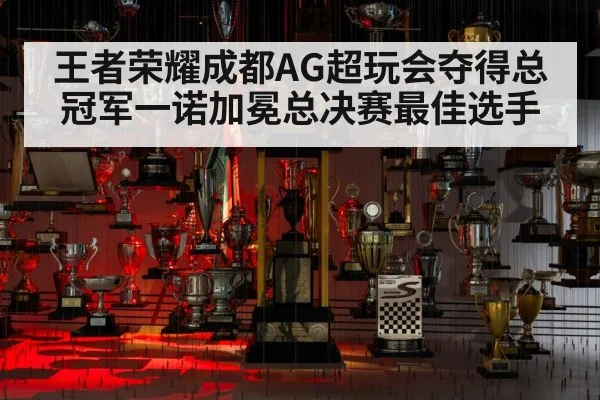 王者荣耀成都AG超玩会夺得总冠军一诺加冕总决赛最佳选手